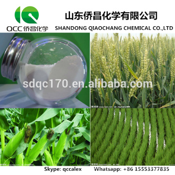 Herbicde / Dicambatique Agrochimique 98% TC 48% SL 70% WDG N ° CAS: 1918-00-9